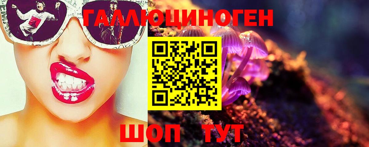Строитель  Галлюциногенные грибы Psilocybe  Галлюциногенные грибы прущие грибы  Вход с VPN 