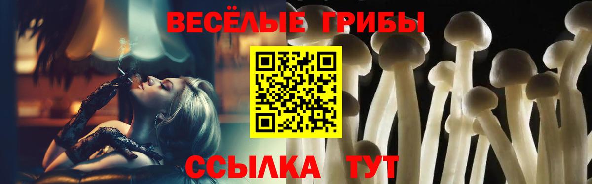Псилоцибиновые грибы прущие грибы Строитель